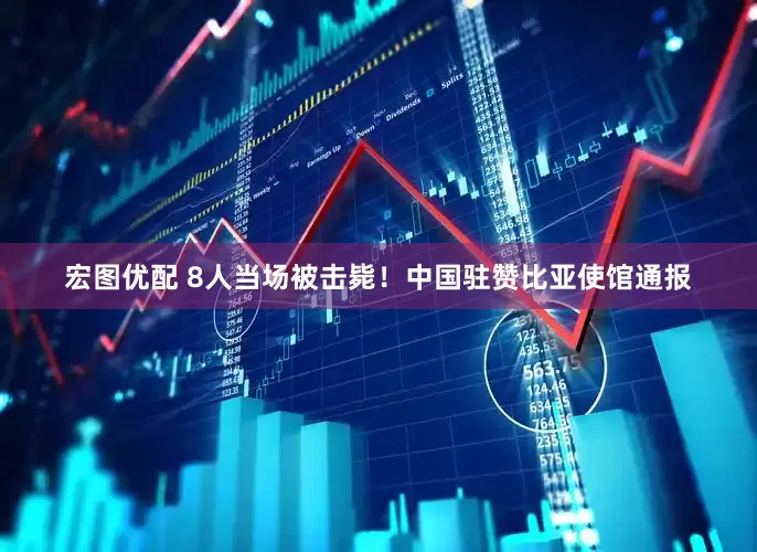 宏图优配 8人当场被击毙！中国驻赞比亚使馆通报