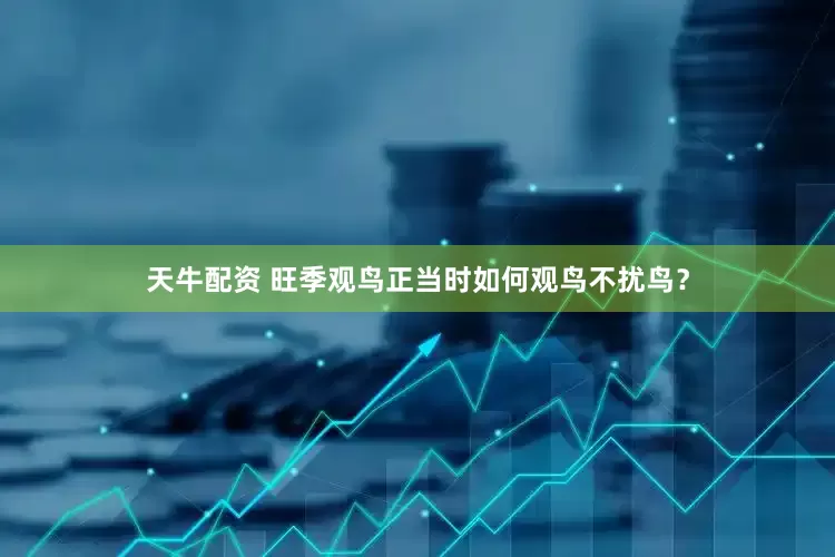 天牛配资 旺季观鸟正当时如何观鸟不扰鸟？