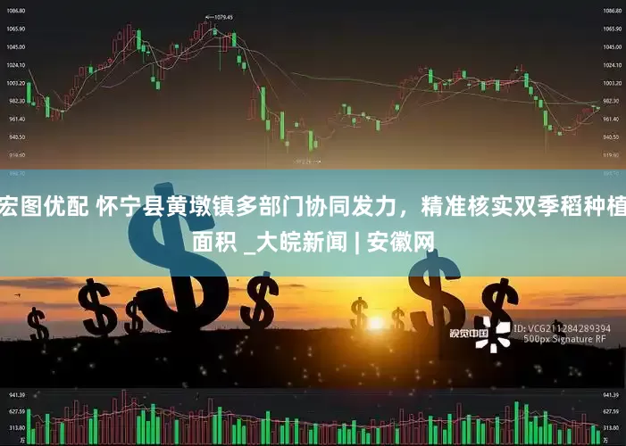 宏图优配 怀宁县黄墩镇多部门协同发力，精准核实双季稻种植面积 _大皖新闻 | 安徽网