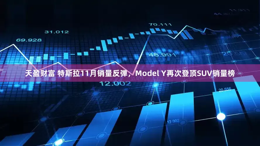 天盈财富 特斯拉11月销量反弹，Model Y再次登顶SUV销量榜