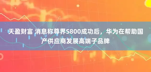 天盈财富 消息称尊界S800成功后，华为在帮助国产供应商发展高端子品牌
